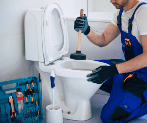 Clogged Toilet drain cleaning