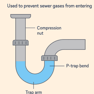 P trap Diagram