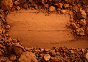 Clay in in the ground 