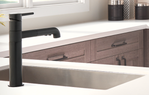 Deltra faucet